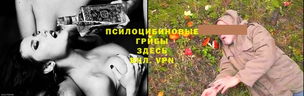 мет Богданович