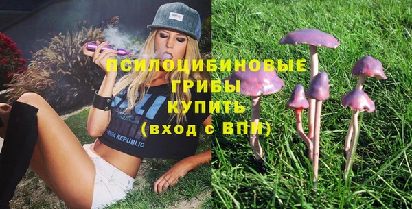 каннабис Богородицк