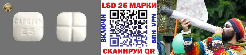 хочу   Мышкин  LSD-25 экстази ecstasy 